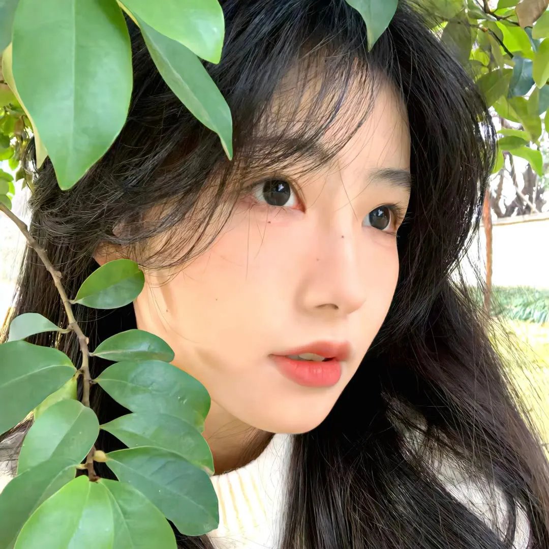 小岛奇谭